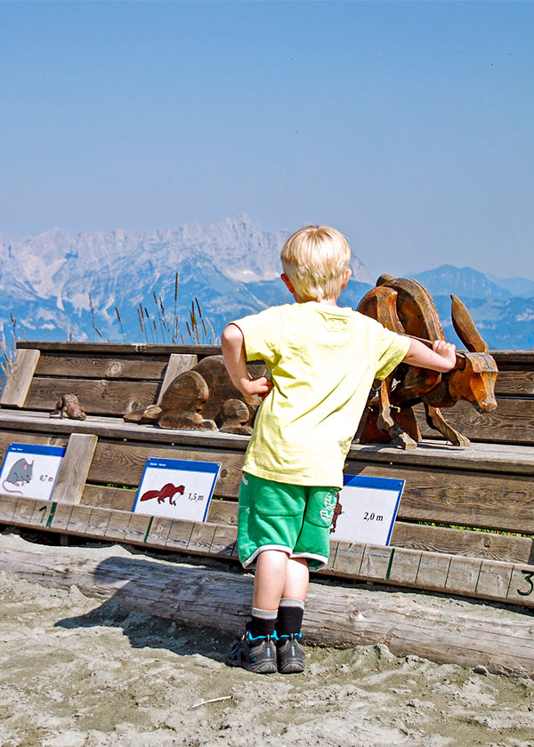pojke tittar ut över alplandskap i Österrike